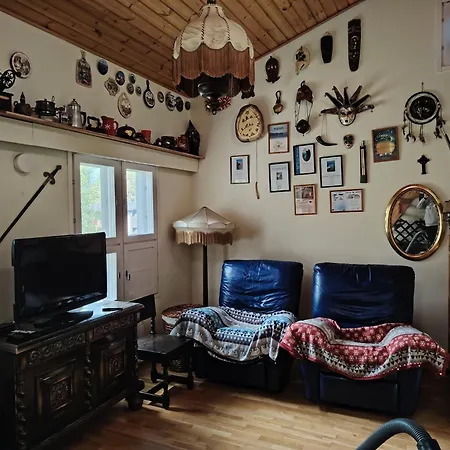 дом на берегу сайма 鲁奥科拉赫蒂