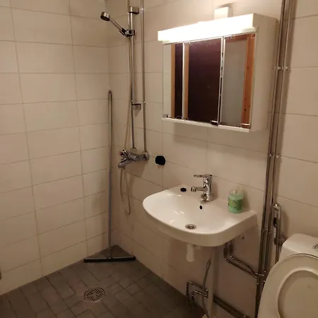 дом на берегу сайма 公寓 *