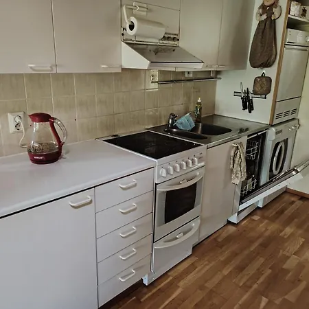 дом на берегу сайма Διαμέρισμα Ruokolahti