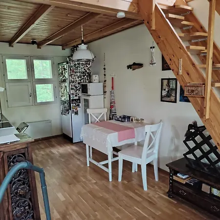 Apartament дом на берегу сайма Ruokolahti