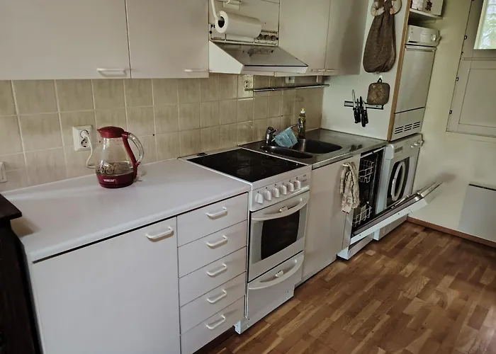 дом на берегу сайма Apartament Ruokolahti