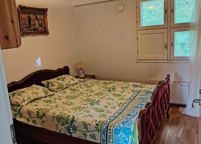 Διαμέρισμα дом на берегу сайма Ruokolahti