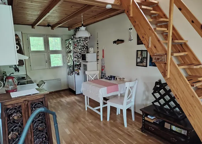 Apartament дом на берегу сайма Ruokolahti