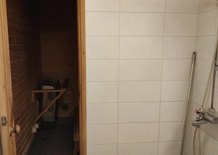 дом на берегу сайма *